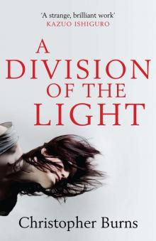 A Division of the Light Read online