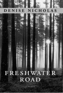 Freshwater Road Read online