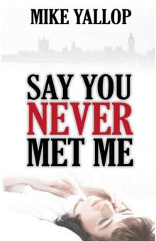 Say You Never Met Me Read online