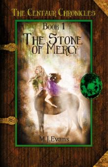 The Stone of Mercy Read online