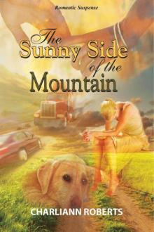 The Sunny Side of the Mountain Read online