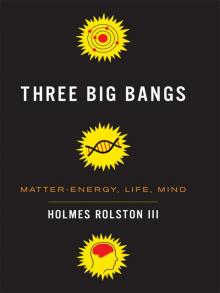 Three Big Bangs Read online