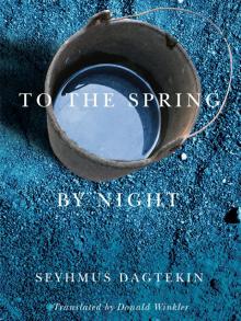 To the Spring, by Night Read online