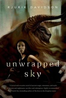 Unwrapped Sky Read online