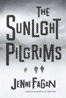The Sunlight Pilgrims Read online